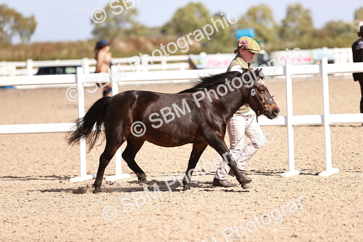 SBM_22961 - Class 707 - IH groom Helpers Class