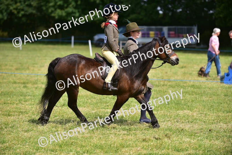 20260614-1138 - Class 11a - Lead Rein Pony (Unplaited)