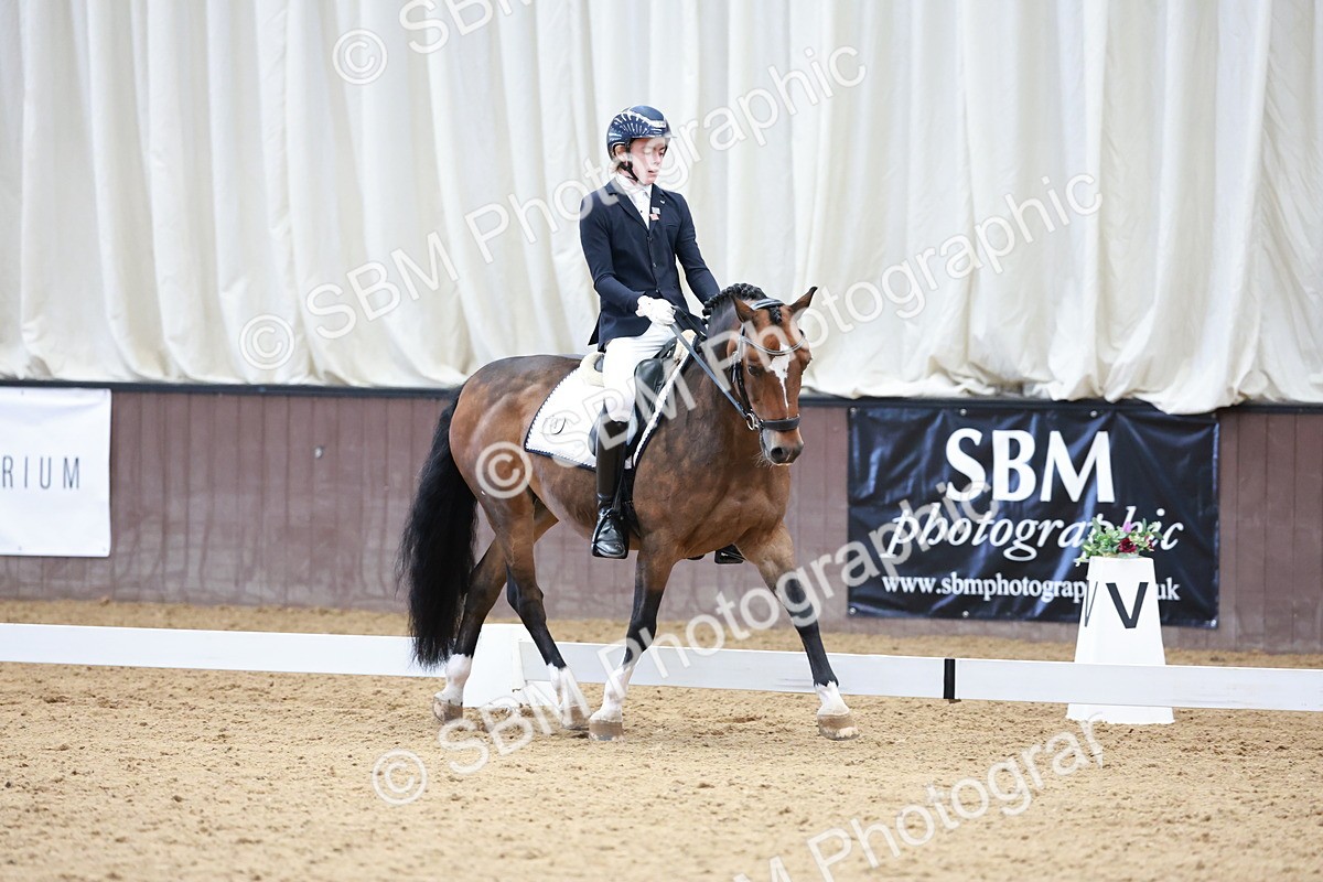 SBM_017142 - Class15 - FEI Pony