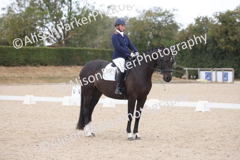 20260816-0939 - Class 4 - Novice 6