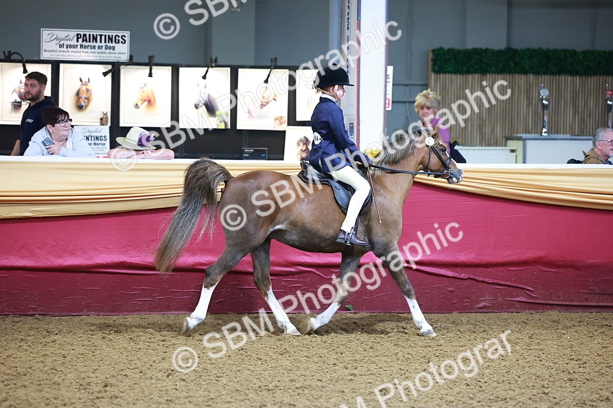 SBM_14563 - Class A - Junior Champ 10 year and Under