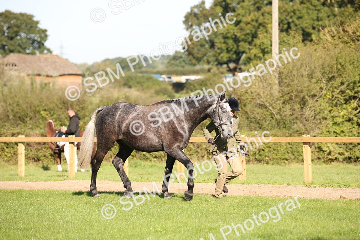 SBM_36564 - S10 - Best In Hand Horse & Pony