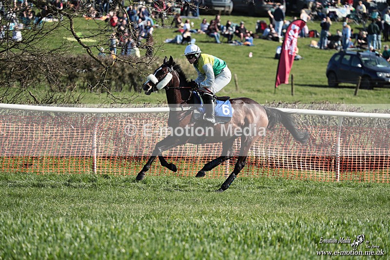 PtP 210326 296 - VWH Cirencester Races 21/03/26