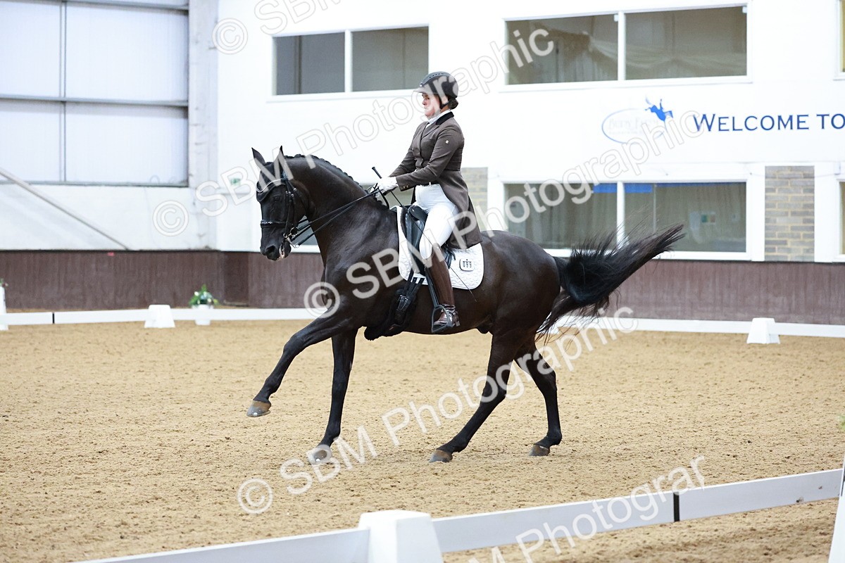 SBM_021319 - Class 14 - FEI Grand Prix - 17.40-18.34