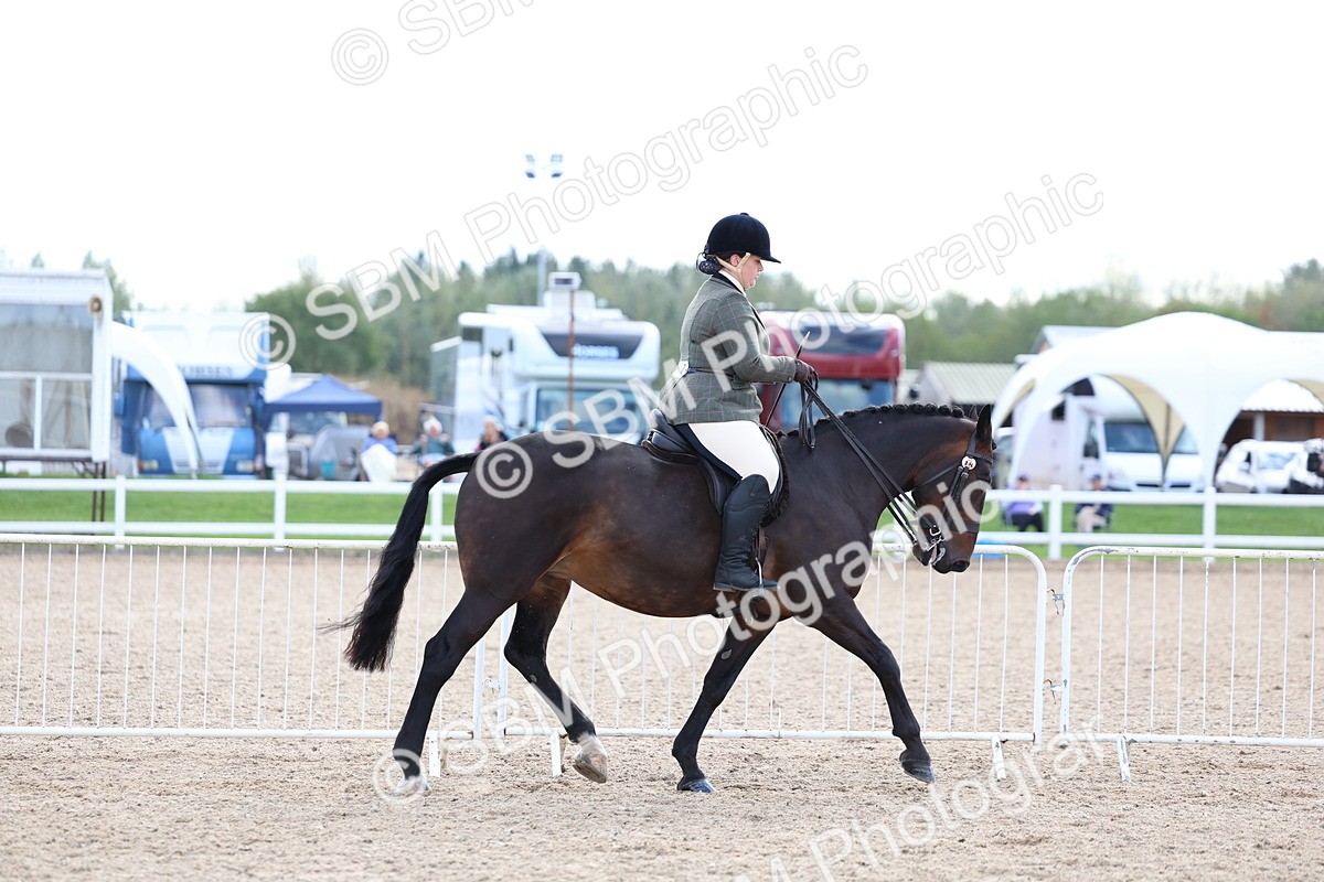 SBM_17087 - Class 315 - Best Horse - Rider Combination