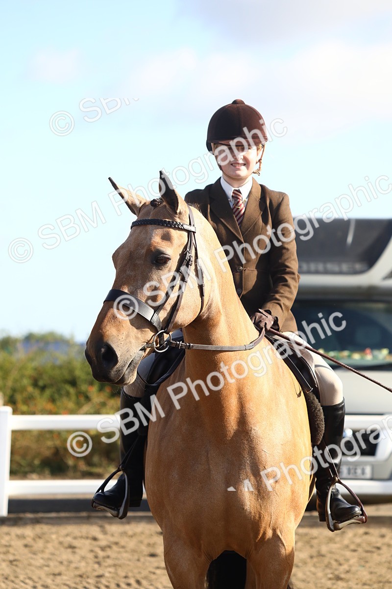 SBM_08601 - Class 502 - Riding Club Horse