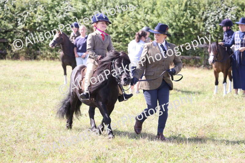 20260906-2769 - Class 25 - Absolute Beginners Pony