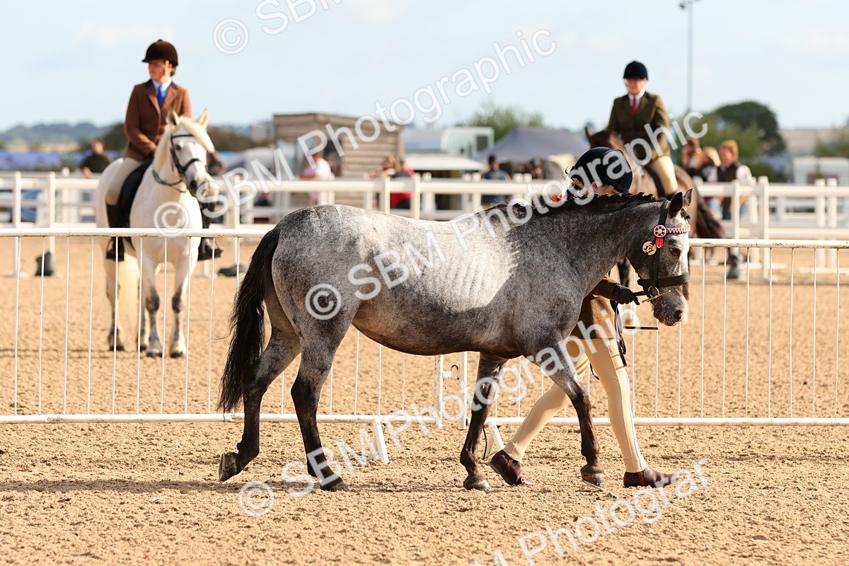 SBM_09186 - Class 204 - Young Handler