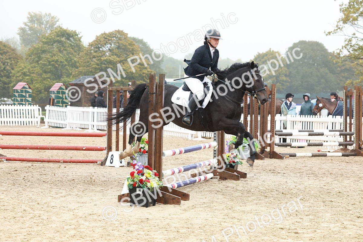 SBM_73415 - Supreme Championship Junior Pony 60cm & 65cm