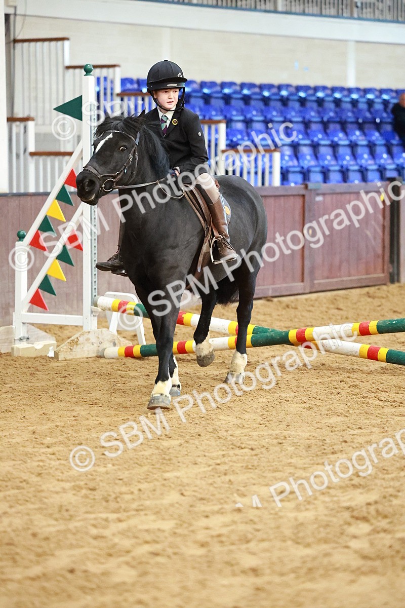 SBM_005181 - Class 1 - 40cm