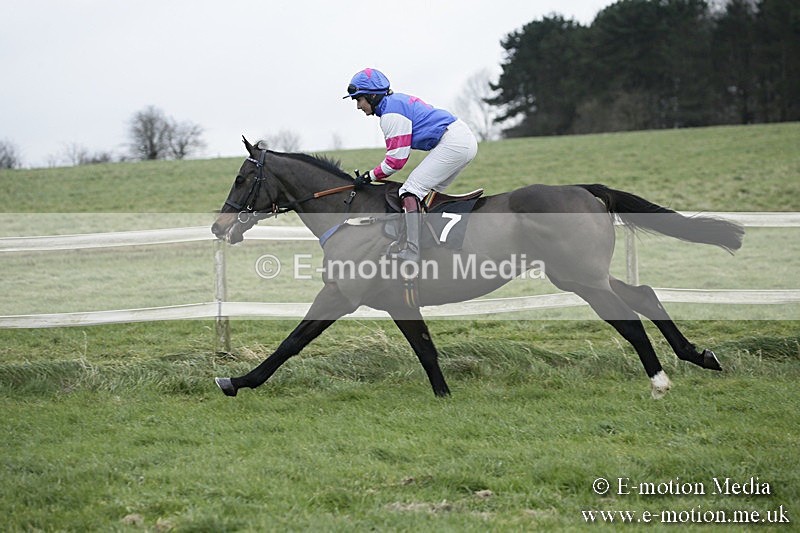 PtP 031217 103 - Hursley Hambledon Point-to-Point Larkhill 03/12/17