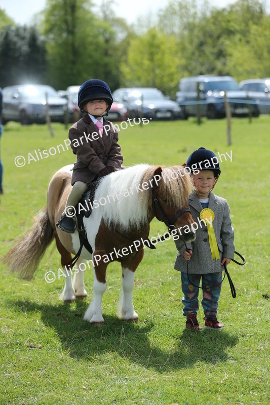 20250427-3920 - Class 10 - Best Mane and Tail