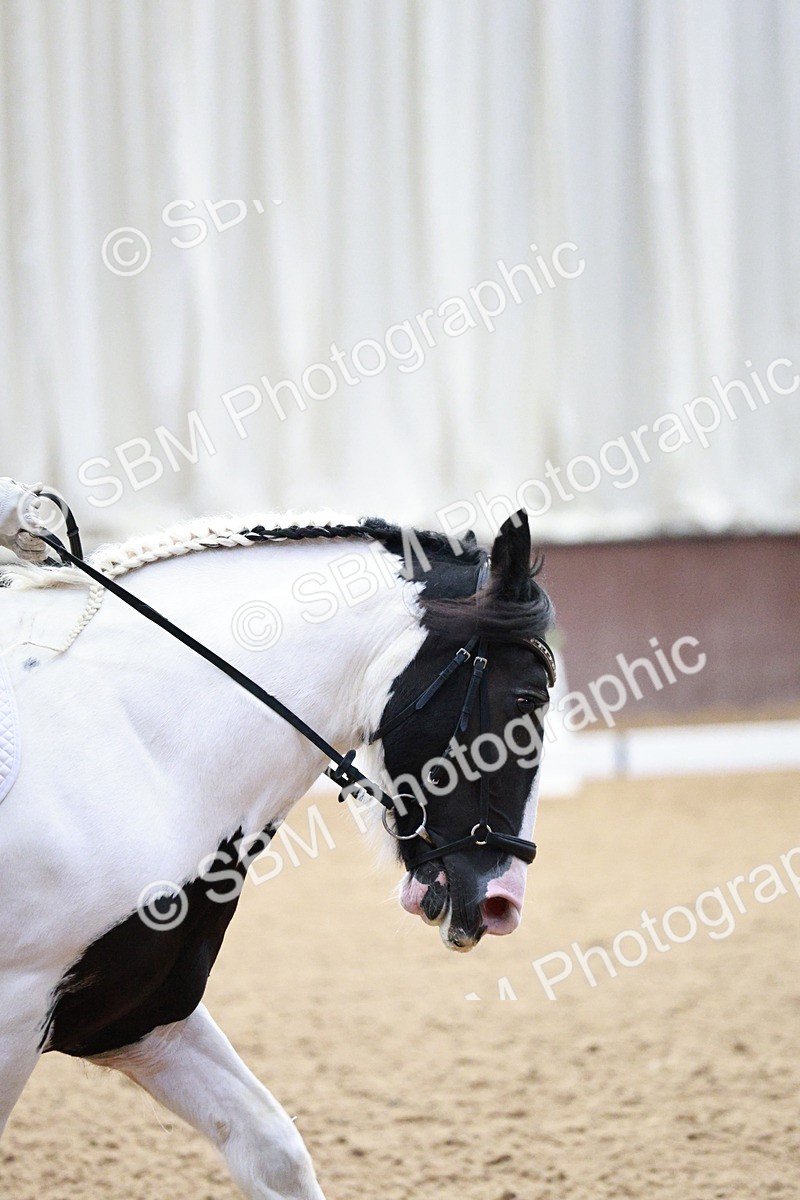 SBM_004096 - Class 13-19 - Novice FSM-INT 1 - 9.00-9.54