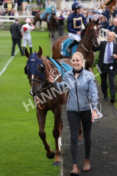 yr22072022r3-24 - Race 3 6.20pm Tomahawk Stakes