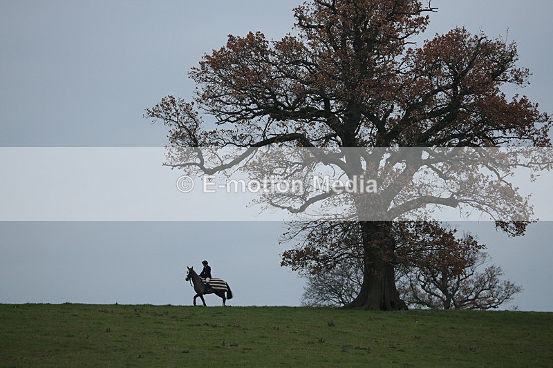 PtP 041222 0899 - Wheatland  Hunt PtP Chaddesley Corbett, Worcs 04/12/22