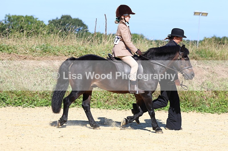 3E7A8040 - Class 15: Lead Rein