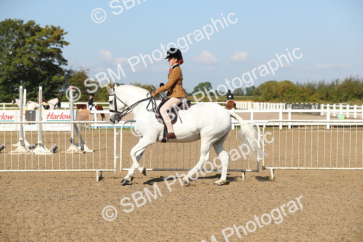SBM_02249 - Class 43 Ridden Competition Horse/Pony
