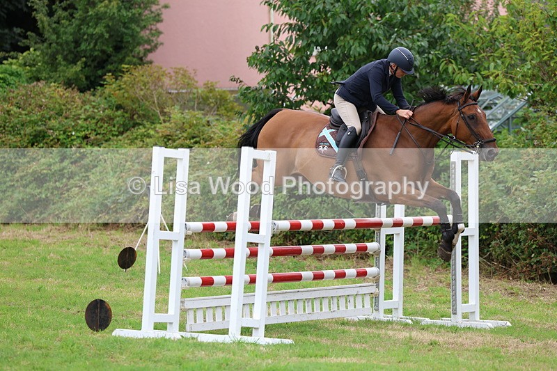 3E7A8497 - Class 8: Senior Foxhunter/1.20m open