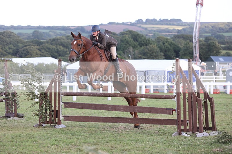 JPP_3676 - Class 24: Open Working Hunter