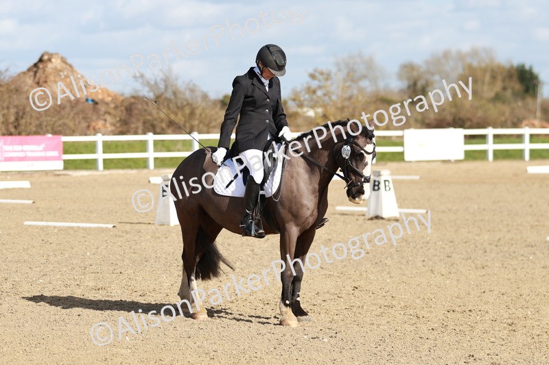 20260314-4363 - DR4 - Prelim 2