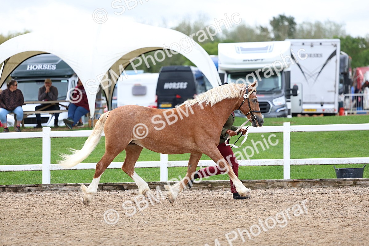 SBM_01202