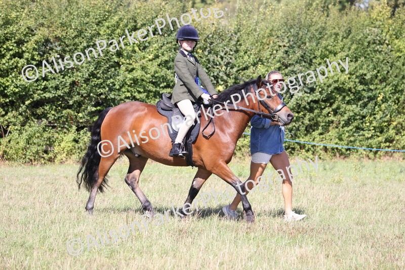 20260906-2349 - Class 16 - Family Pony