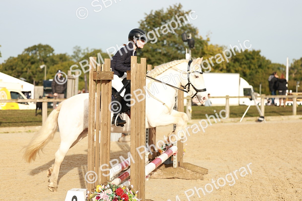 SBM_55594 - J11 - Junior Pony 50cm Championship