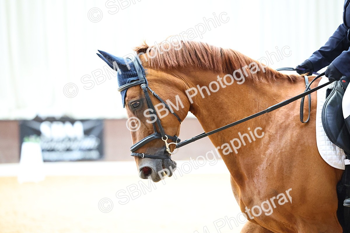 SBM_004907 - Prelim 3