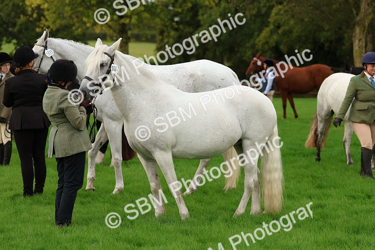 SBM_32845 - S8 - Best Turned Out