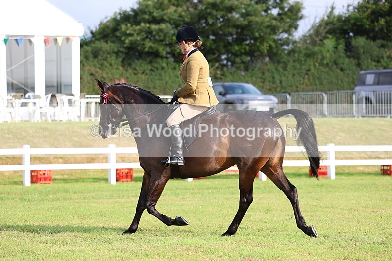 3E7A7850 - Class 1: Rising Star Small Hack/Riding Horses