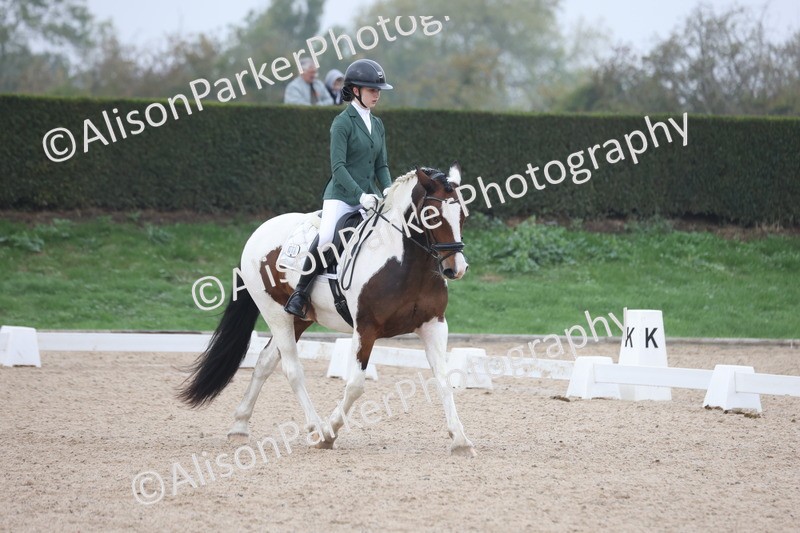 20251012-0584 - Class 5 - Elementary 5