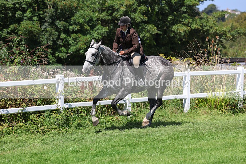 3E7A8996 - Class 6: Open Working Horse