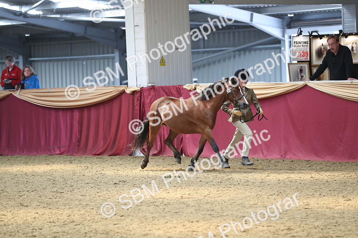 SBM_15303 - Class 501 M&M IH Supreme Final
