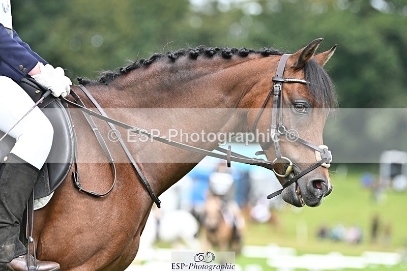 230826-123001-18367 - PC70 Plus