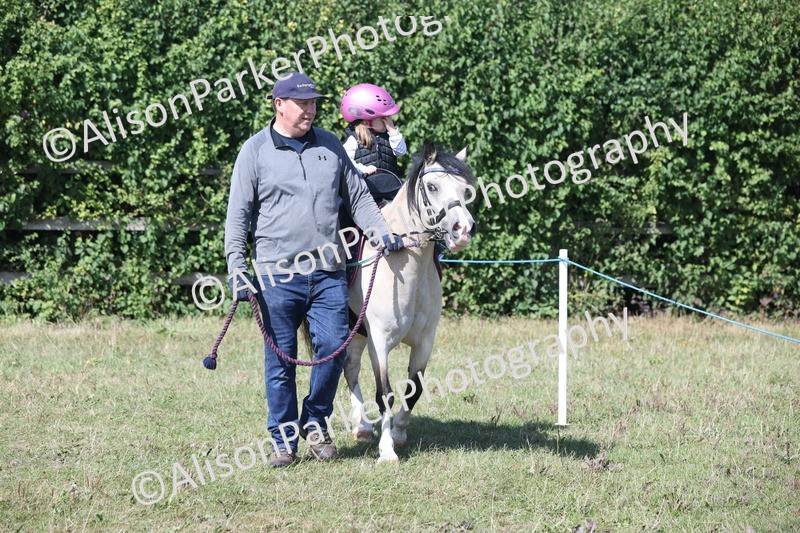 20250831-3135 - Class 24 - Absolute Beginners Pony