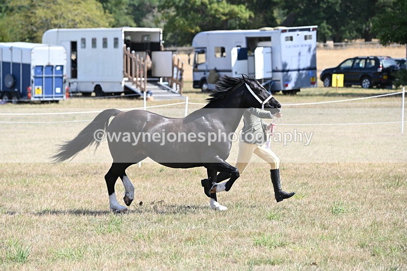 WJ6_5104 - Class 17 Mountain & Moorland