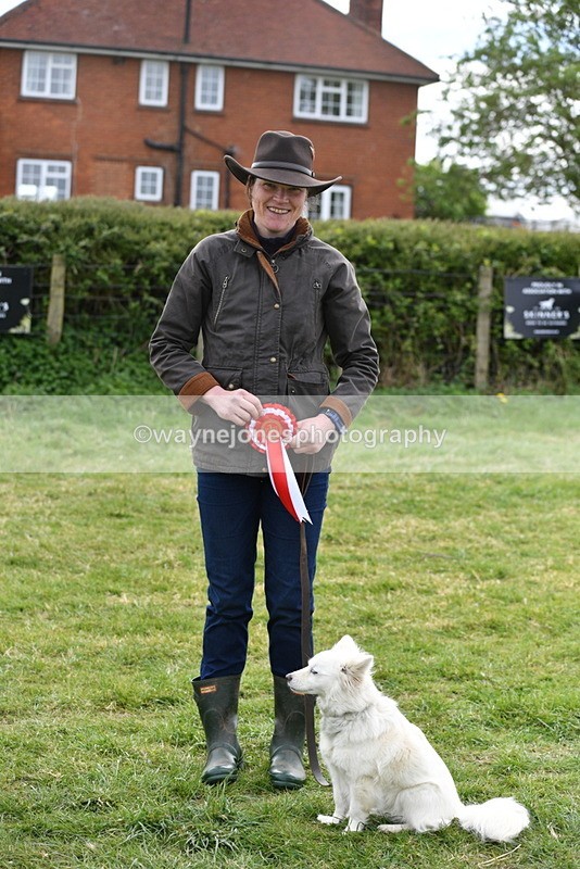 WJ5_9388 - Class 1 Best Cross Breed / Heniz 57