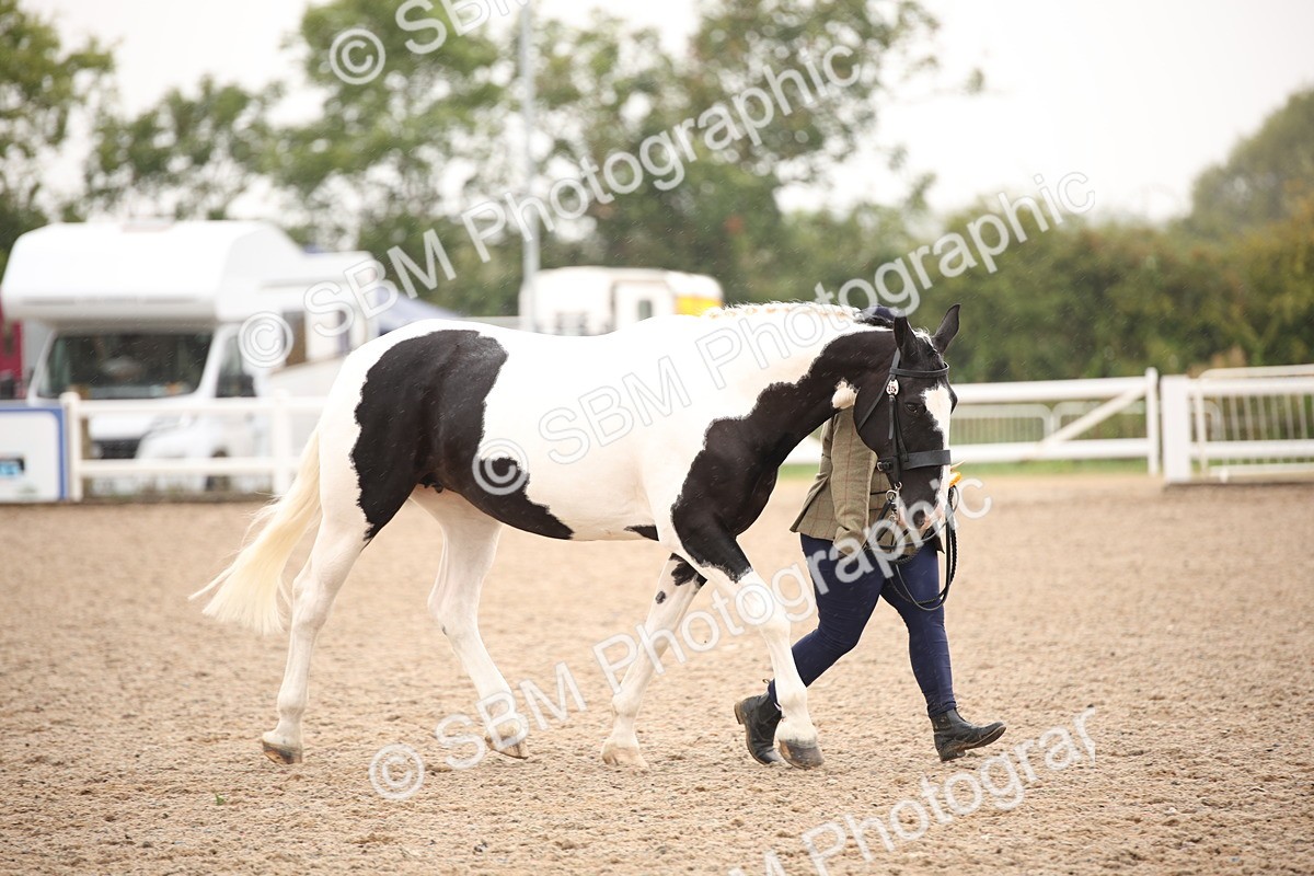 SBM_20236 - Class 703 - IH  Coloured