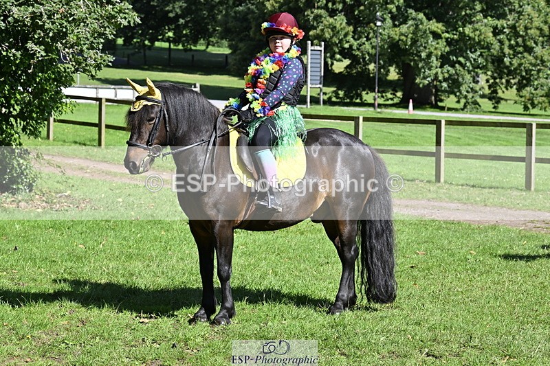 240728B-095100-00206 - Sunday Stable Shots and Fancy Dress
