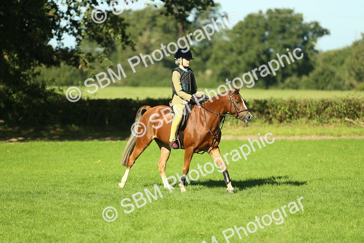 SBM_36418 - S29 - Novice & Newcomers Working Hunter Pony