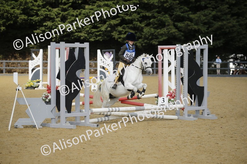 20250622-1219 - 40cm