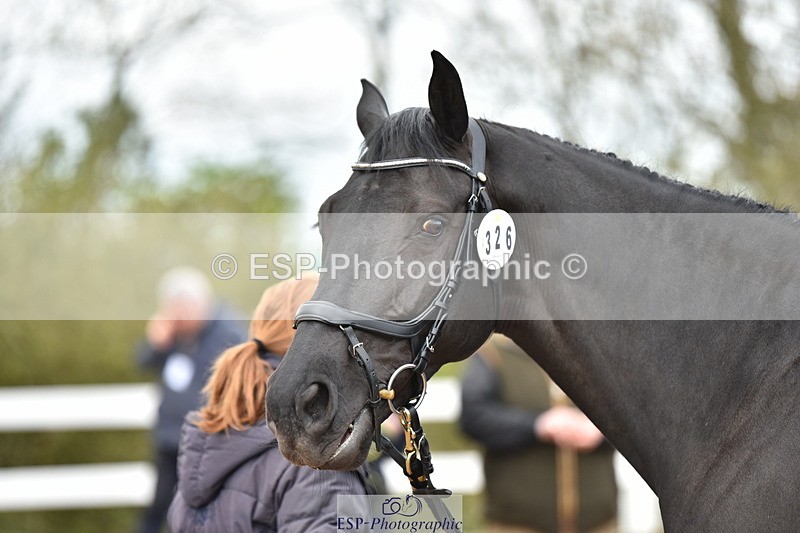 240417A-142504-00511 - 2pm to 3pm