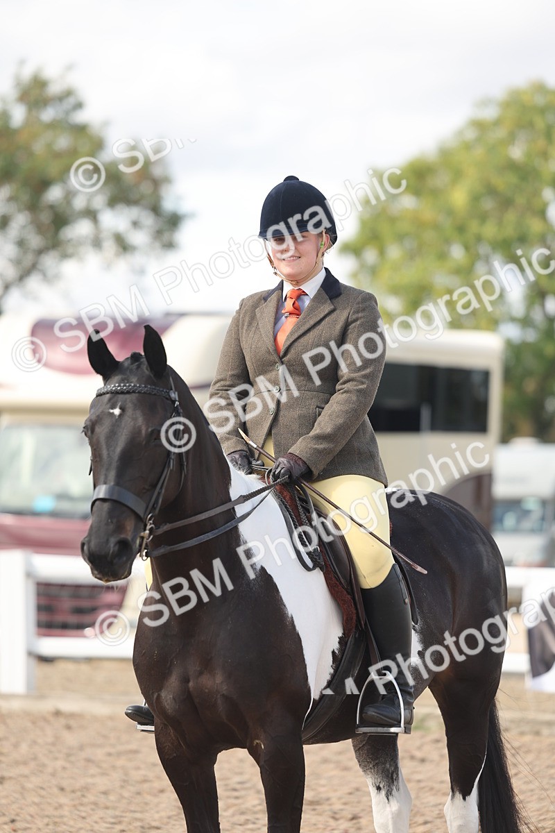 SBM_14809 - Class 308 - Ridden Coloured Horse