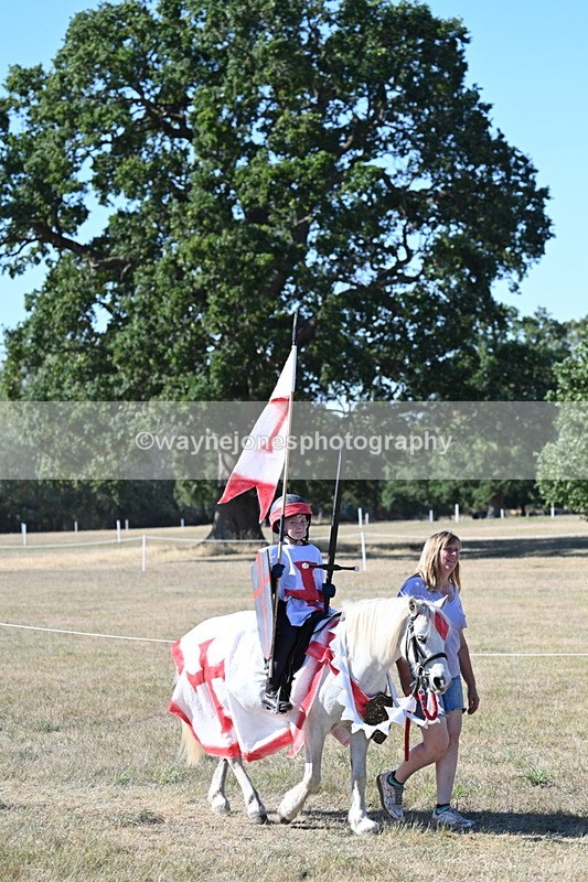 WJ7_2532 - Class 45 Fancy Dress (My Fav)
