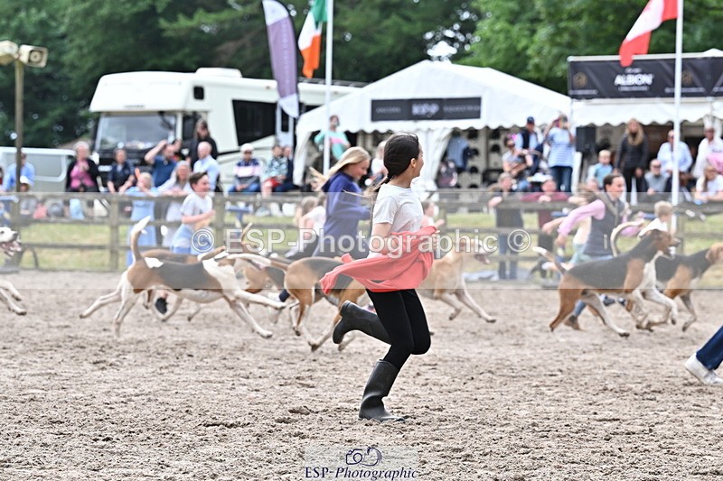 250524A-152841-12784 - East Devon Hounds