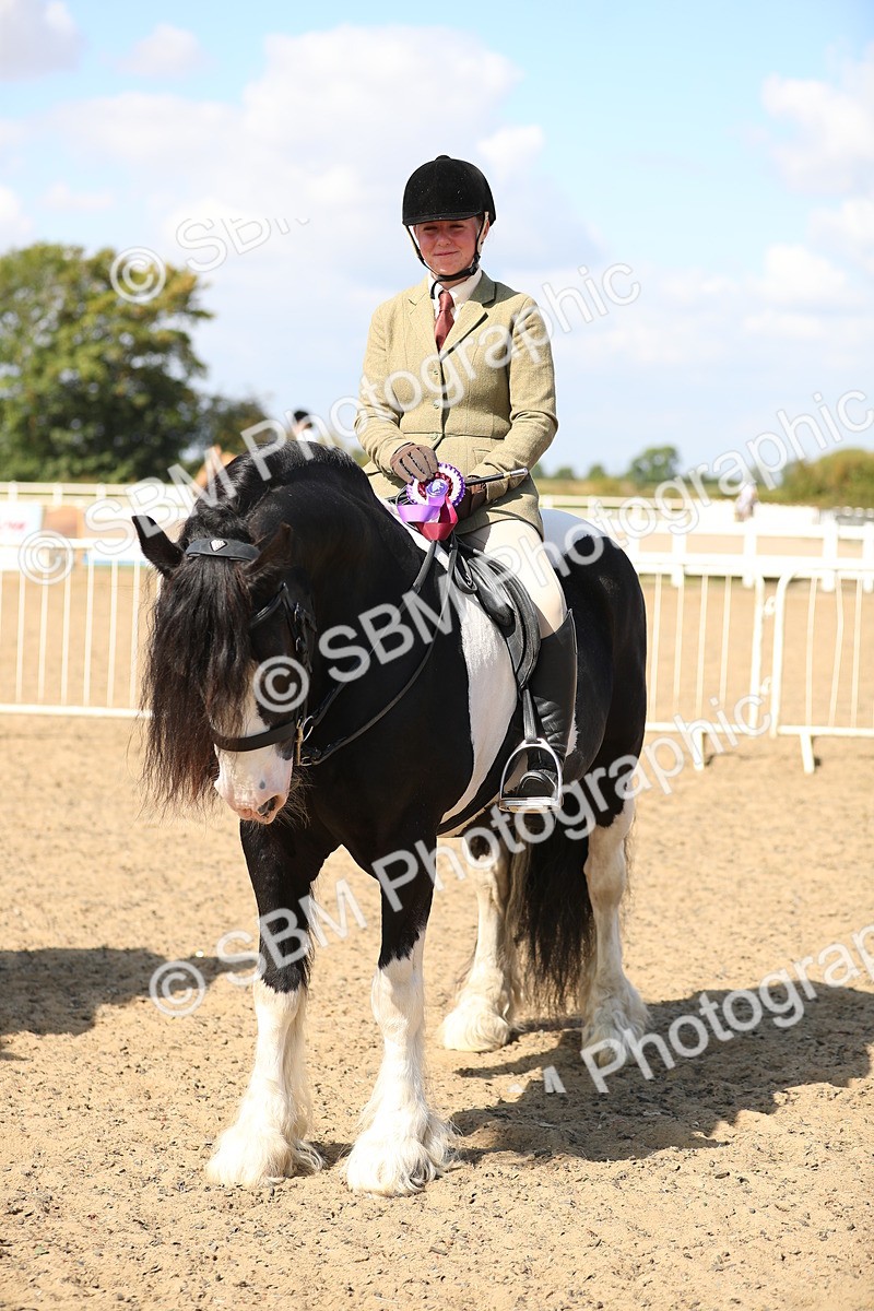 SBM_03295 - Class 44 Riding Club Horse/ Pony