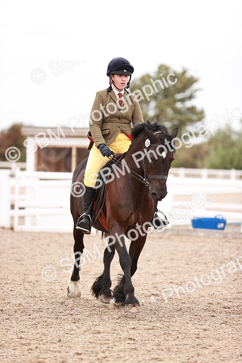 SBM_19053 - Class 422 - Ridden M&M