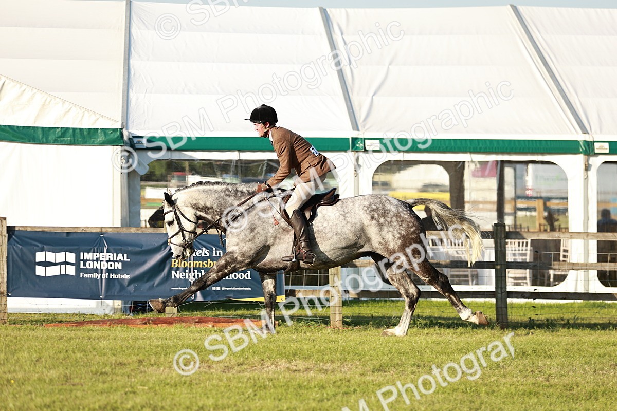 SBM_20495 - Class 117-119 - Sport Horse Working Hunter