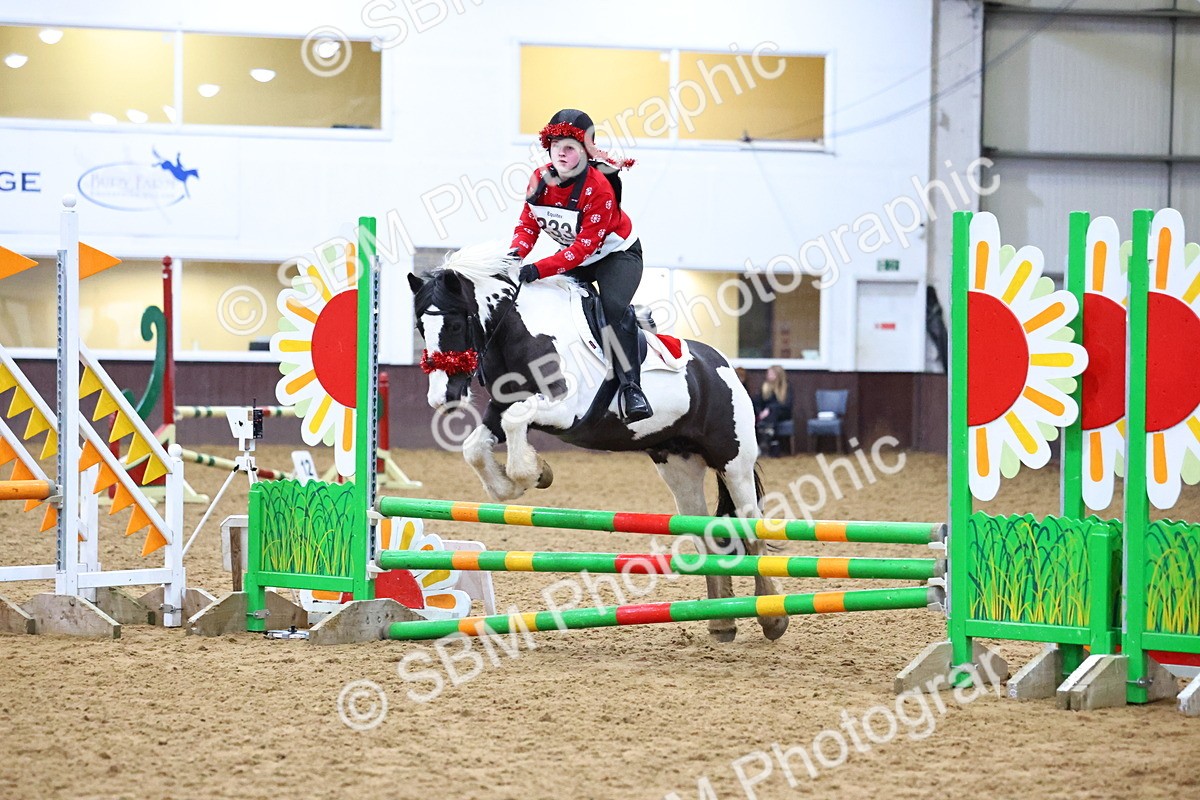 SBM_001913 - Class 4 - Festive Fences - 70cm