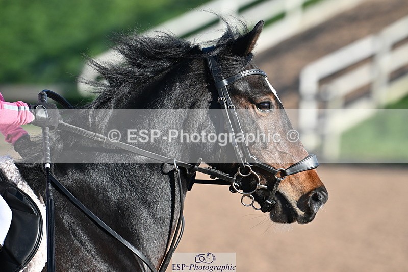 231125A-110422-00240 - 70cm